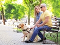 Un homme aveugle est assis sur un banc avec son chien guide et sa canne blanche. À côté de lui, une instructrice l'accompagne